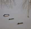 mec_gb_180108_13.jpg